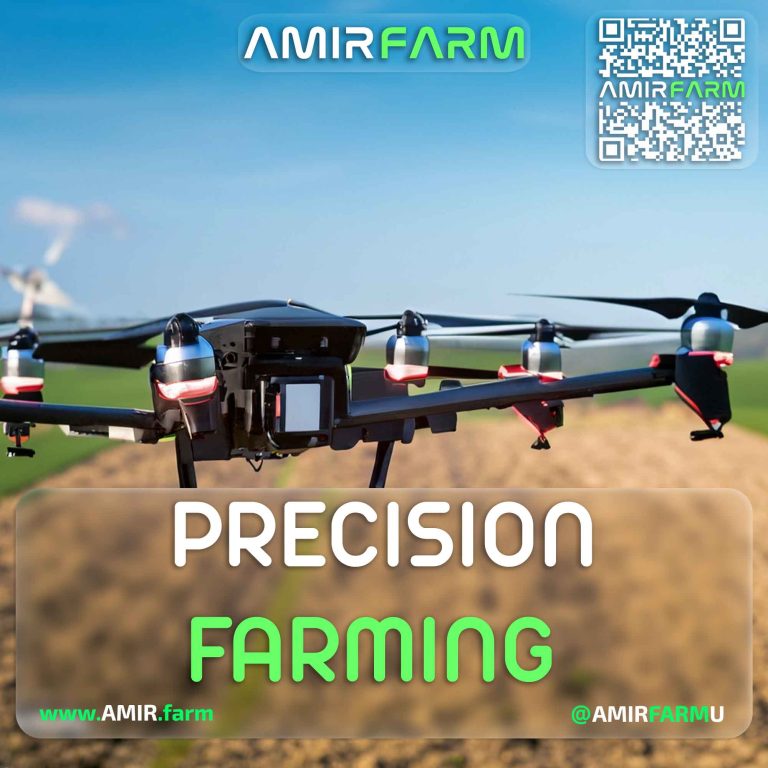 AMIR-FARM---PRECISION-FARMING---002