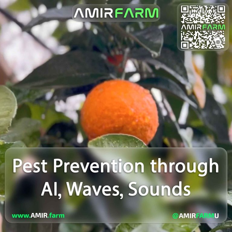 AMIR-FARM---Pest-Prevention-through-AI---001