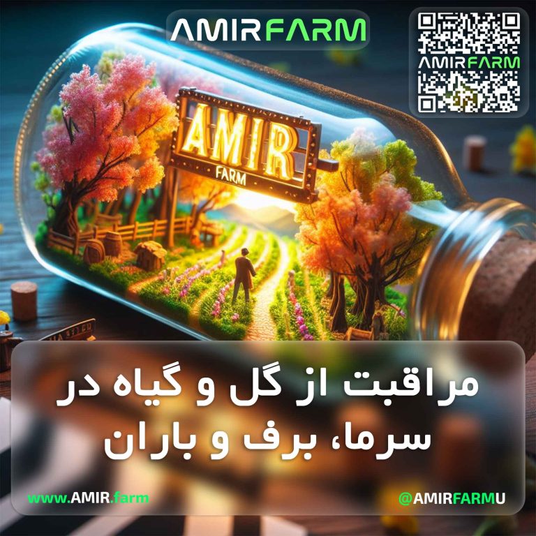 AMIR-FARM---Tips-for-Freshness-and-Beauty---001