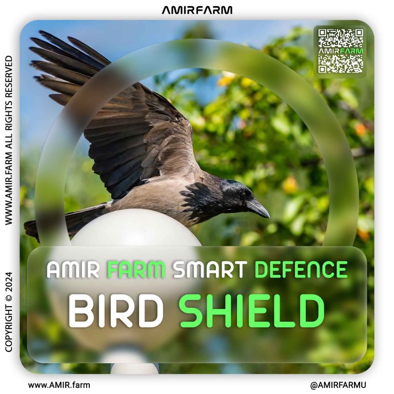 AMIR-FARM---BIRD-SHIELD---001
