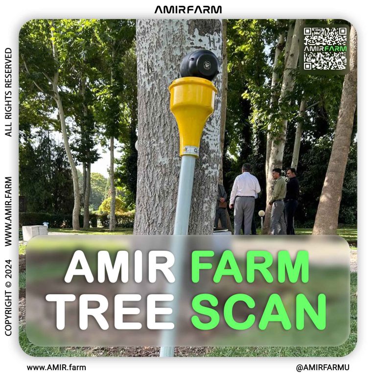 AMIR-FARM---TREE-SCAN---001