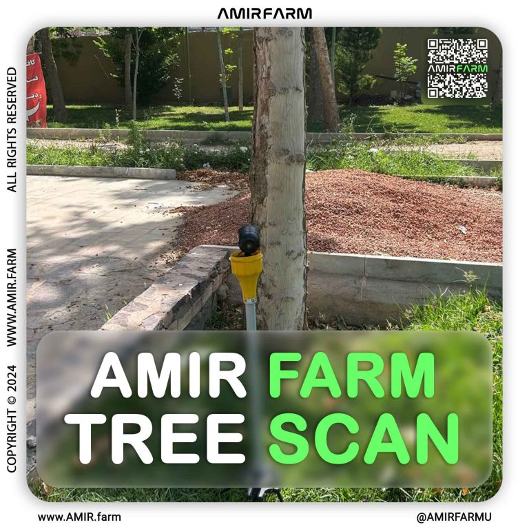 AMIR-FARM---TREE-SCAN---004