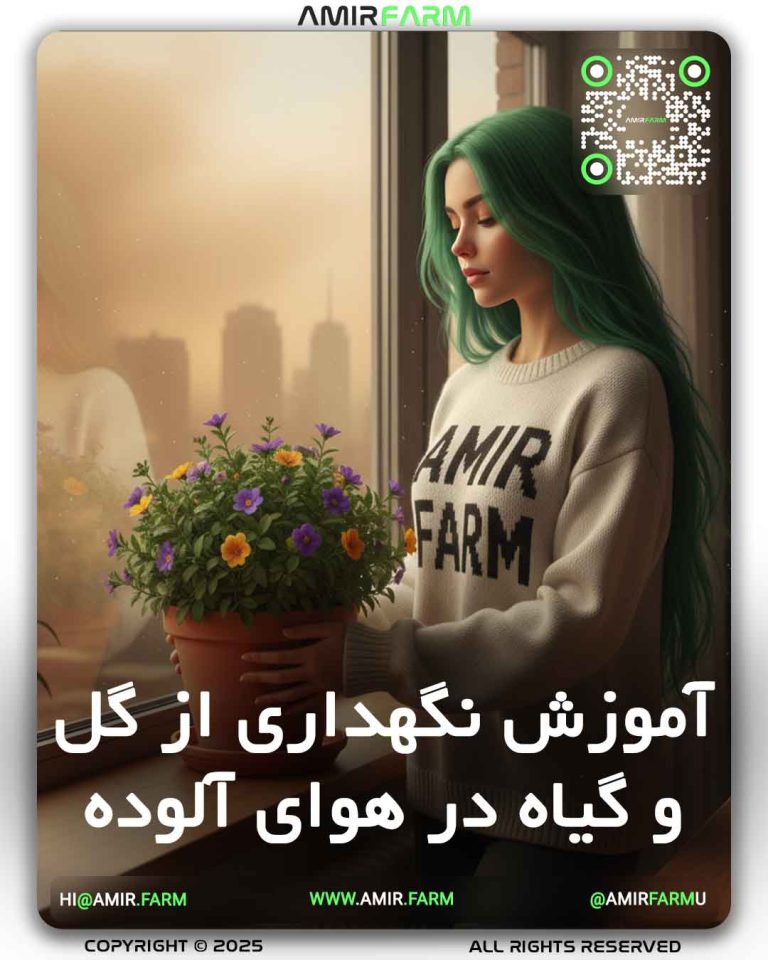 AMIR-FARM---plant-care-in-air-pollution---001