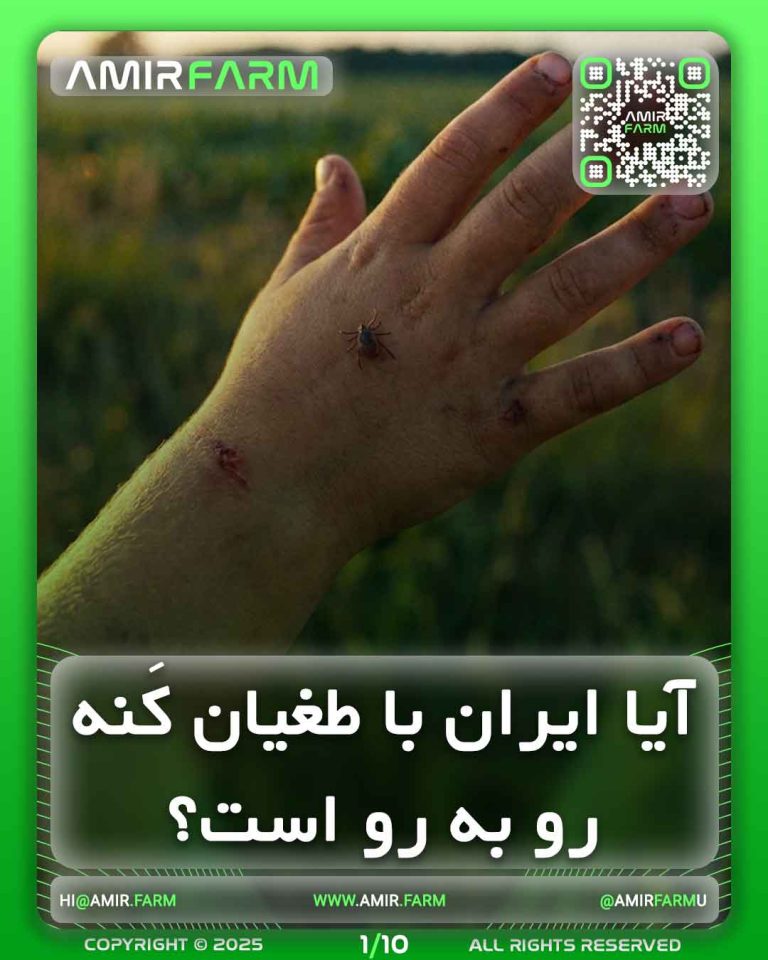 AMIR-FARM---MITE---001